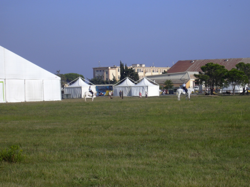 DSCN0413.JPG