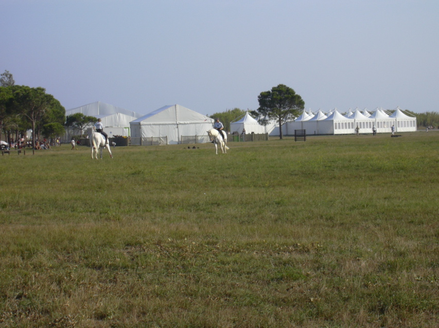 DSCN0416.JPG
