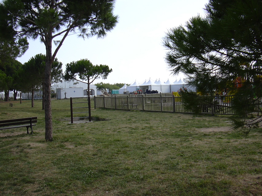 DSCN0452.JPG