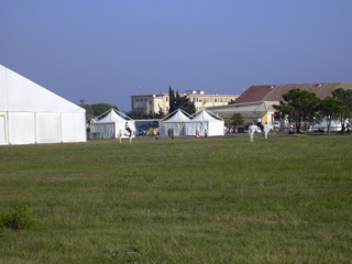 DSCN0413.JPG