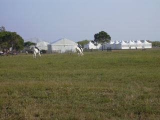 DSCN0416.JPG