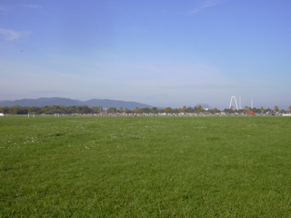 DSCN0038.JPG