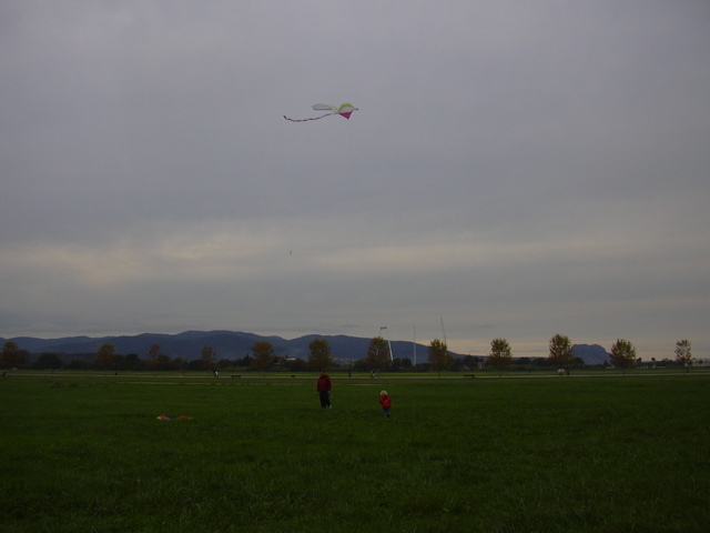 DSCN0238.JPG
