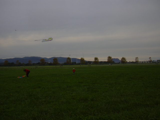 DSCN0239.JPG