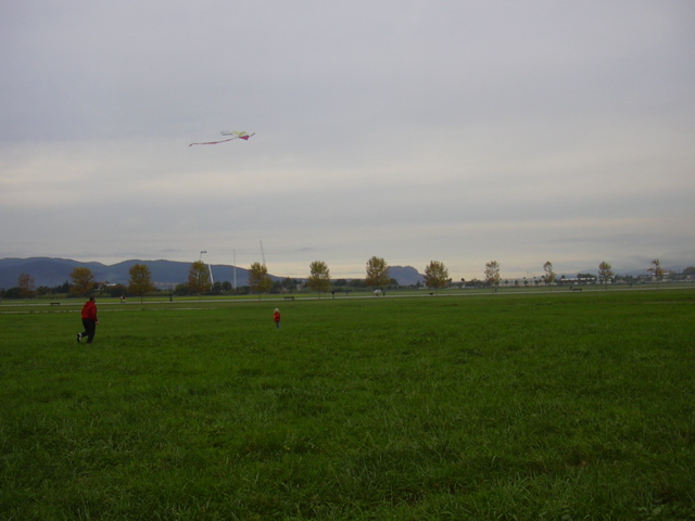 DSCN0240.JPG