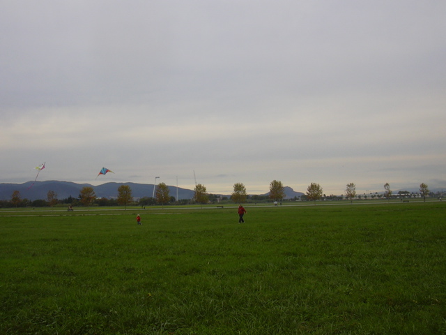 DSCN0241.JPG