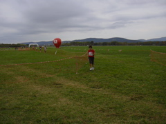 DSCN0236.JPG