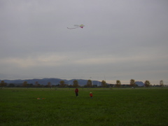 DSCN0238.JPG