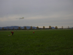 DSCN0239.JPG