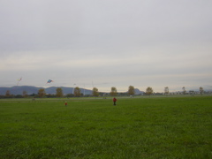 DSCN0241.JPG