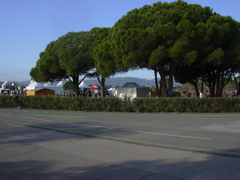 DSCN0243.JPG