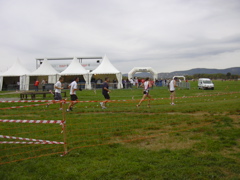 DSCN0233.JPG