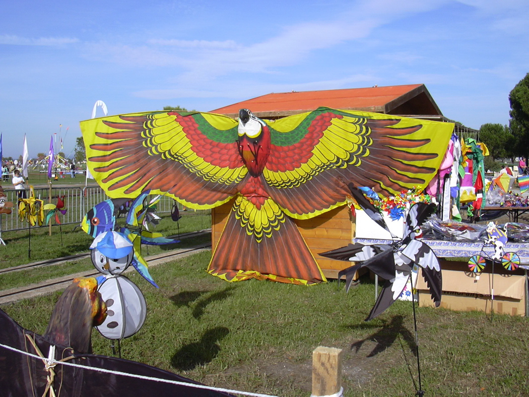 DSCN0105.JPG