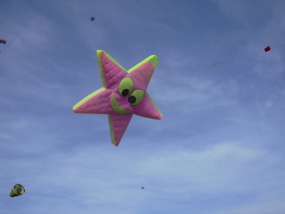 DSCN0142.JPG
