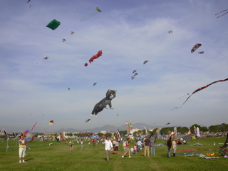DSCN0149.JPG