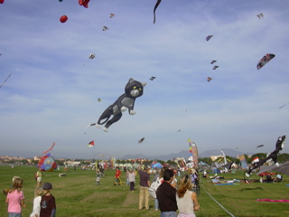 DSCN0150.JPG