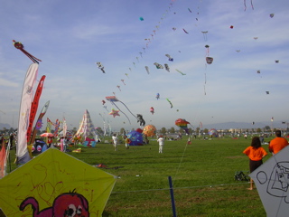 DSCN0154.JPG