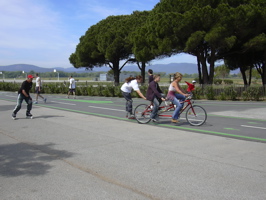 DSCN0804.JPG