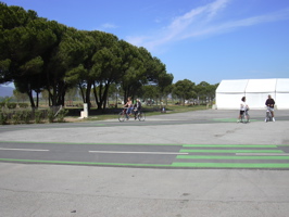 DSCN0805.JPG