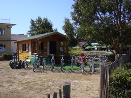 DSCN0162.JPG
