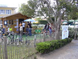 DSCN0782.JPG