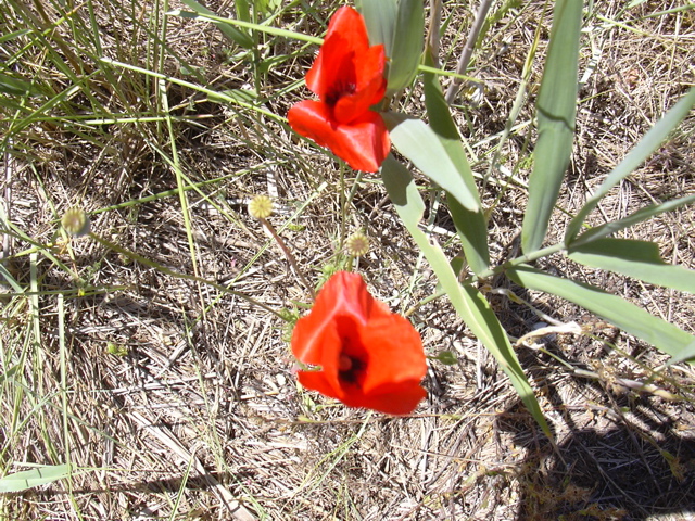 DSCN0255.JPG