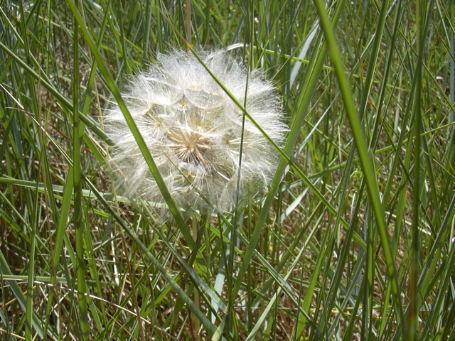 DSCN0260.JPG