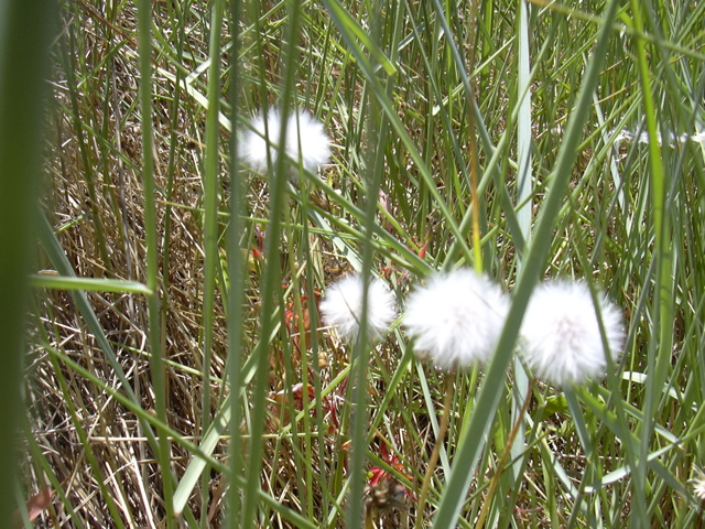 DSCN0261.JPG