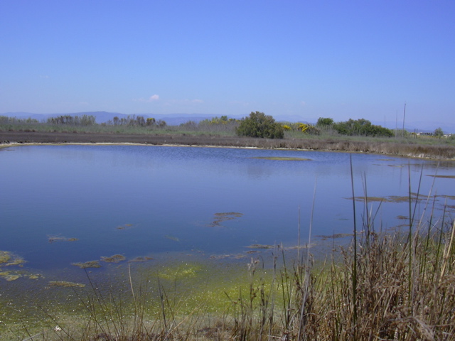 DSCN0258.JPG