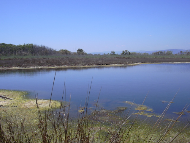 DSCN0259.JPG
