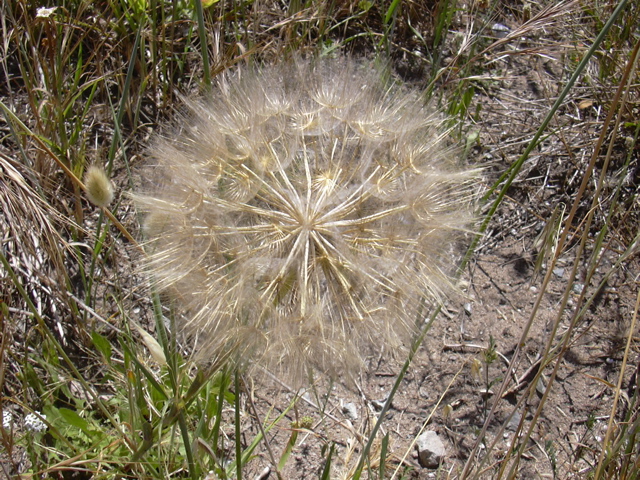 DSCN0268.JPG