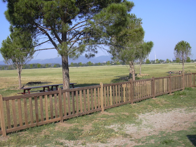 DSCN0148.JPG