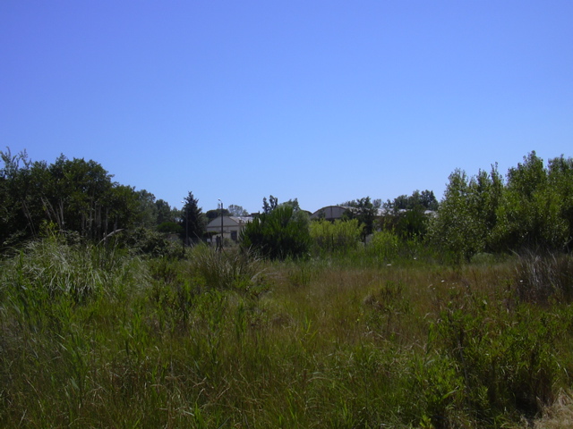 DSCN0239.JPG