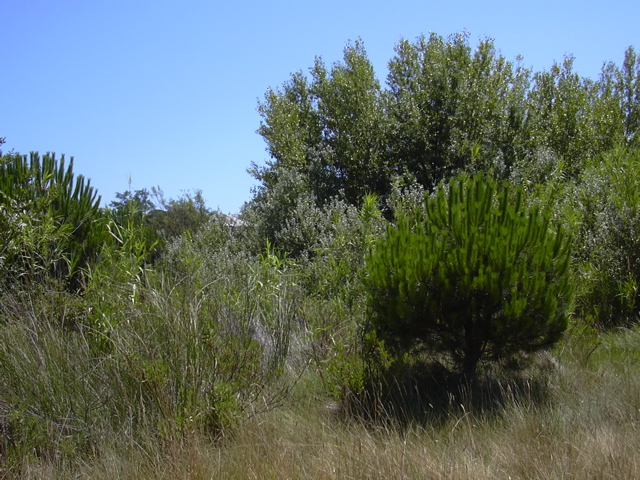 DSCN0240.JPG