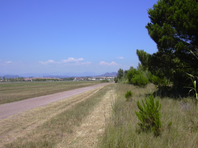 DSCN0244.JPG