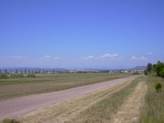 DSCN0245.JPG