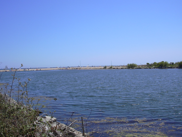 DSCN0251.JPG