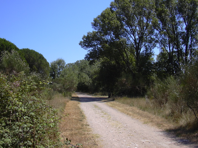 DSCN0253.JPG