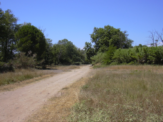 DSCN0254.JPG