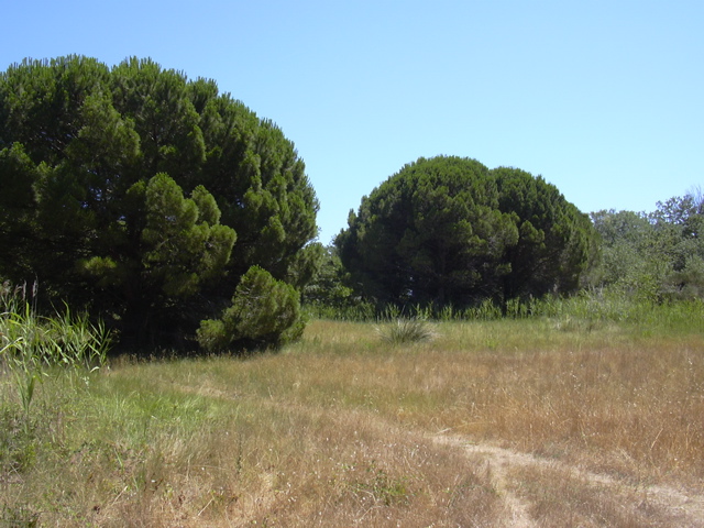 DSCN0255.JPG