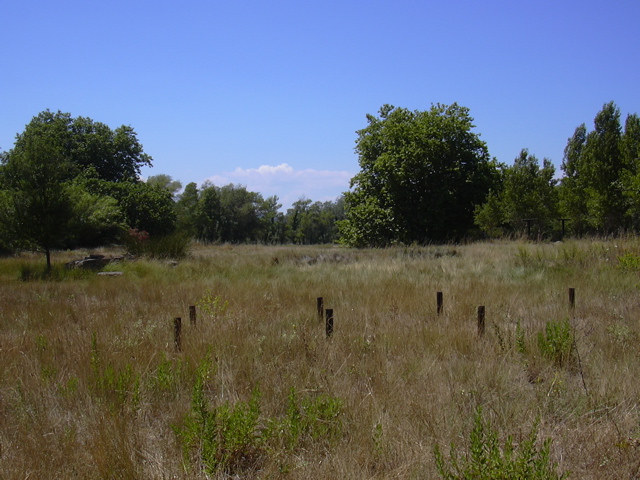 DSCN0257.JPG
