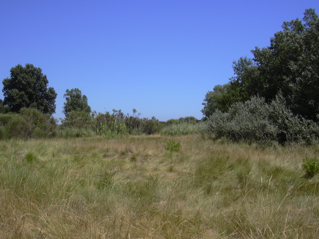 DSCN0258.JPG