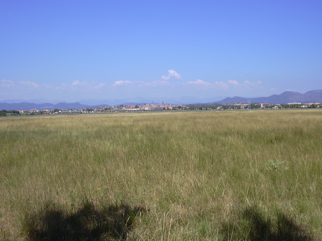 DSCN0259.JPG