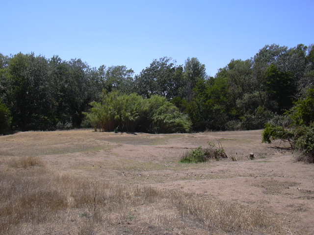 DSCN0261.JPG
