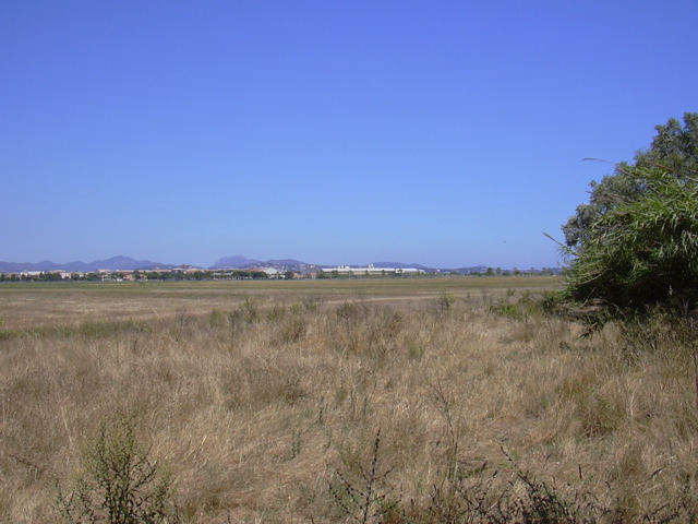 DSCN0262.JPG