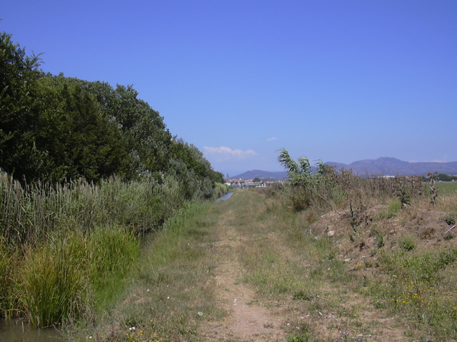 DSCN0265.JPG