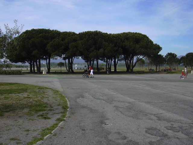 DSCN0781.JPG