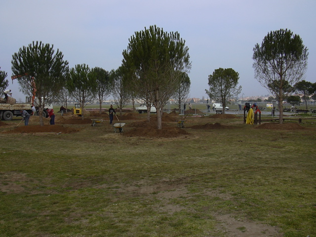 DSCN0013