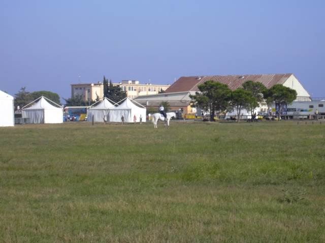 DSCN0412