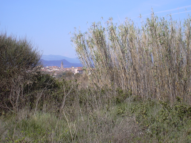 DSCN0161
